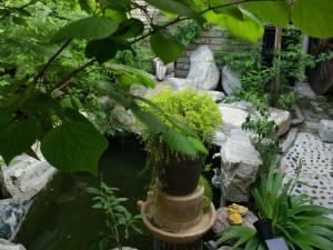文化會(huì)館環(huán)境展示