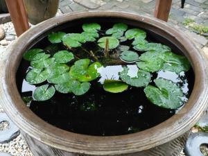 文化會(huì)館環(huán)境展示